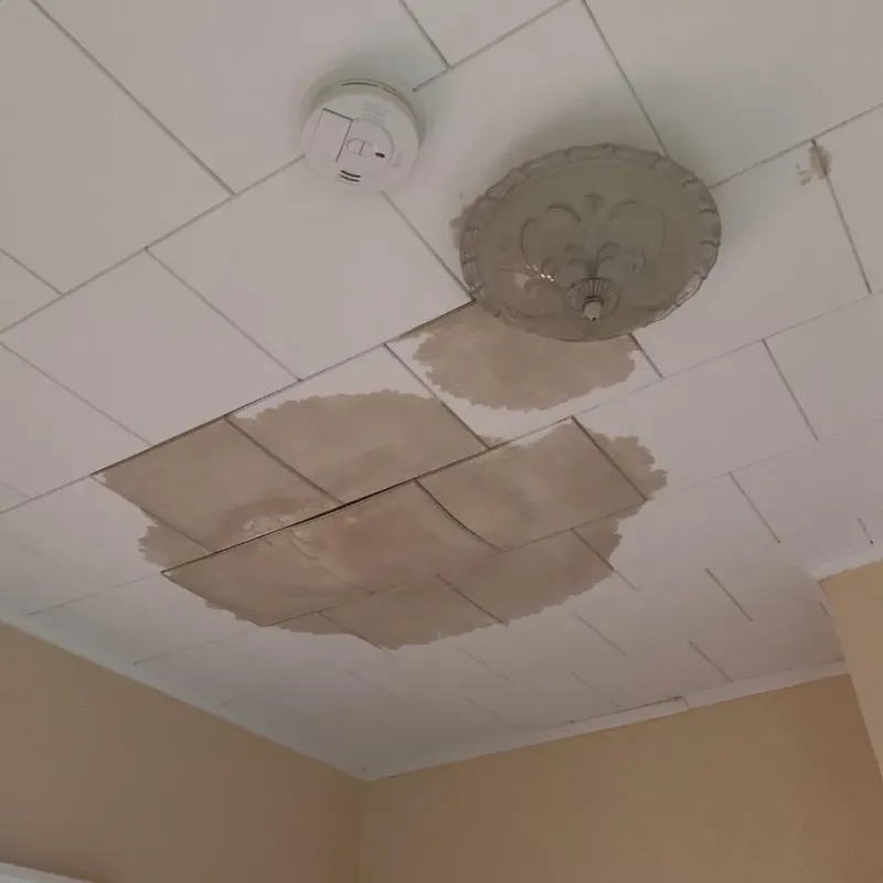 Ceiling Water Damage Repair in Granville, WV