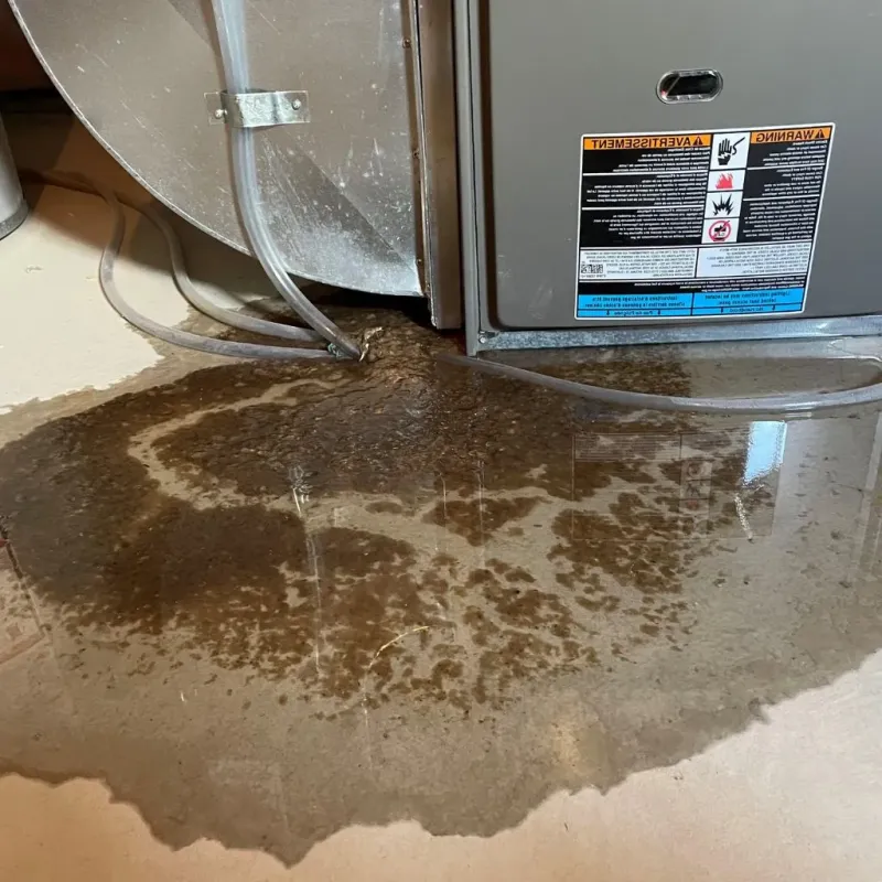 Pipe Burst and Leak Restoration in Granville, WV