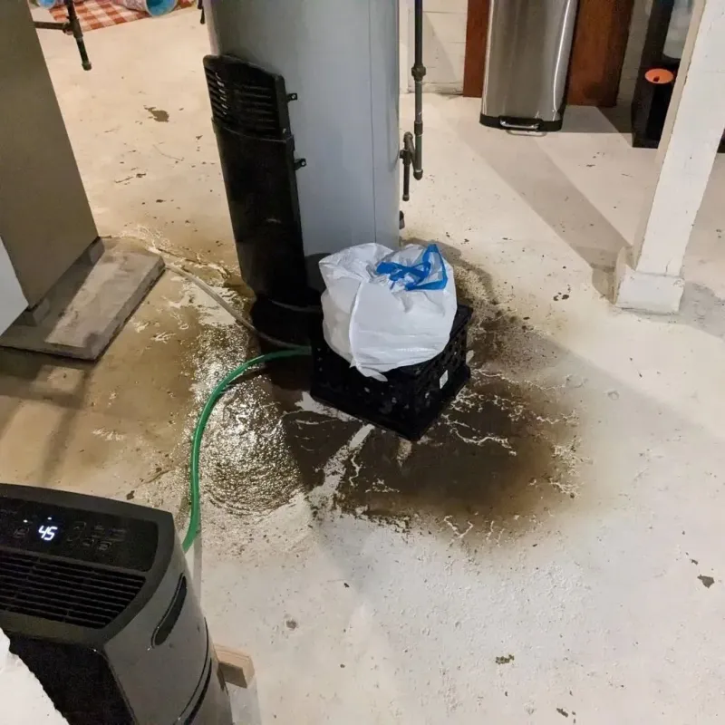 Sewage Backup Cleanup Service in Granville, WV